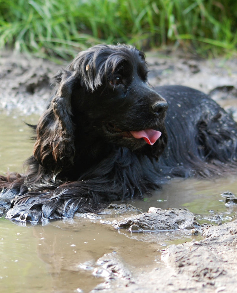 Things happen when you're having fun...